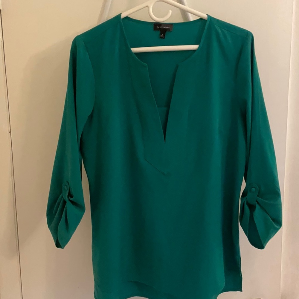 The Limited tunic